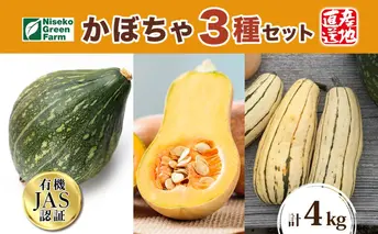 北海道 オーガニック かぼちゃ3種 計約4kg カボチャ デリカタ ミニバターナッツ ロロン 南瓜 有機野菜 野菜 有機栽培 JAS 産直 産地直送 国産 ニセコグリーンファーム 送料無料 有機かぼちゃ