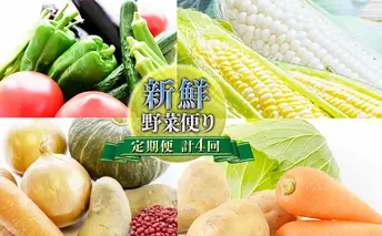 【ニセコファーム】定期便 新鮮 野菜便り 北海道 倶知安町 新鮮 採れたて とうもろこし 夏野菜 じゃがいも 玉ねぎ セット 