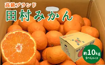 DN6015_【2025年 先行予約】 高級ブランド 田村みかん 秀品 10kg (S～Lサイズおまかせ） 【ミカン 蜜柑 柑橘 温州みかん 有田みかん】