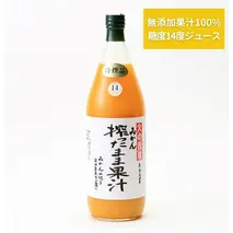 京都・火の國屋・搾ったまま果汁（みかん2本）〈無添加 生搾り 高濃度 果実 みかん ミカン ジュース 果汁 飲料 果物〉 果汁飲料 野菜飲料 みかんジュース 加工食品 
