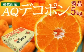DN6012n_【2026年先行予約】和歌山県産 AQ デコポン 5kg 秀品 (12～24玉)