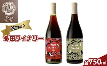 野生酵母 赤ワイン 2本セット お酒 ピノノワール メルロ 飲み比べ 果実酒 無濾過 