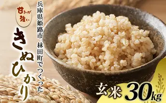 [令和7年産新米]<10月初旬以降発送予定>きぬひかり玄米30キロ 兵庫県姫路市産　新米　白米　米　お米 精米 ご飯 甘みが強い ツヤ キヌヒカリ もっちりとした食感 単一原料米 おいしいお米 