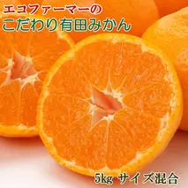 ZD92067_エコファーマーのこだわり 有田みかん 5kg (サイズ混合・秀・優品)【数量限定】