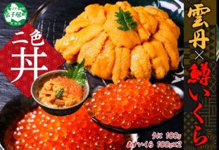 2499. 雲丹 100g 鱒いくら醤油漬け 100g×2個 うに ウニ チリ産 冷凍 いくら イクラ ます マス いくら醤油 お取り寄せ 魚卵 海鮮丼 二色丼 海鮮 寿司 送料無料 北海道 弟子屈町