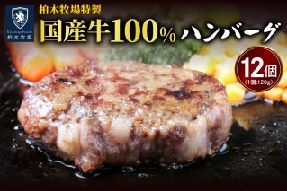 [ジュワッと肉汁まで美味い！]柏木牧場特製 国産牛100%ハンバーグ (120g×12個)｜国産 ハンバーグ 冷凍 グルメ ギフト お惣菜 惣菜 [0067]