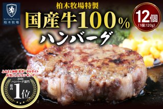 柏木牧場特製 国産牛100%ハンバーグ (120g×12個)｜国産 ハンバーグ 冷凍 グルメ ギフト お惣菜 惣菜 大容量 [0067]