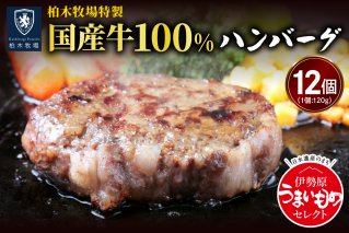 [ジュワッと肉汁まで美味い！]柏木牧場特製 国産牛100%ハンバーグ (120g×12個) [0067]