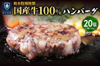 [ジュワッと肉汁まで美味い！]柏木牧場特製 国産牛100%ハンバーグ (120g×20個)｜国産 ハンバーグ 冷凍 グルメ ギフト お惣菜 惣菜 [0068]