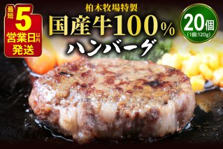 [ジュワッと肉汁まで美味い！]柏木牧場特製 国産牛100%ハンバーグ (120g×20個)｜国産 ハンバーグ 冷凍 グルメ ギフト お惣菜 惣菜 [0068]