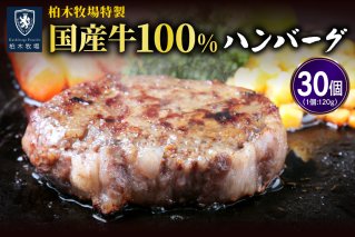 [ジュワッと肉汁まで美味い！] 柏木牧場特製 国産牛100%ハンバーグ (120g×30個) [0069]