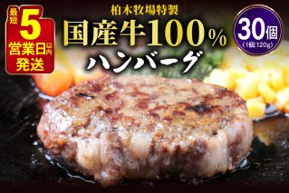 [ジュワッと肉汁まで美味い！] 柏木牧場特製 国産牛100%ハンバーグ (120g×30個)｜国産 ハンバーグ 冷凍 グルメ ギフト お惣菜 惣菜 [0069]