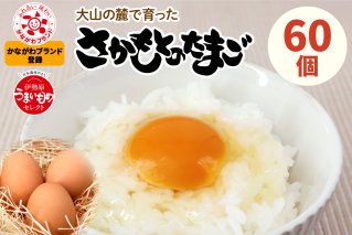 たまご 60個｜坂本養鶏 大山の麓で育ったさかもとのたまご 赤玉卵 玉子 鶏卵 [0088]