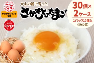 たまご 60個 (30個×2ケース)｜坂本養鶏 大山の麓で育ったさかもとのたまご 赤玉卵 玉子 鶏卵 [0089]