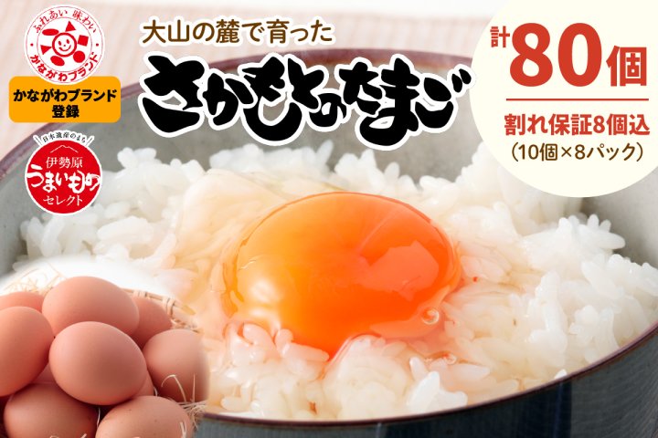 2026年4月中旬より順次発送》坂本養鶏 大山の麓で育った さかもとの
