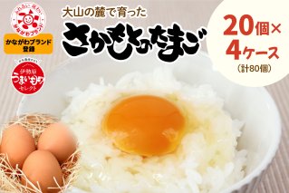 たまご 80個 (20個×4ケース)｜坂本養鶏 大山の麓で育ったさかもとのたまご 赤玉卵 玉子 鶏卵 [0090]