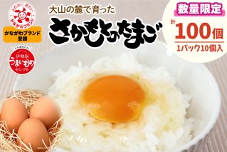 [数量限定] たまご 100個｜坂本養鶏 大山の麓で育ったさかもとのたまご 赤玉卵 玉子 鶏卵 [0091]