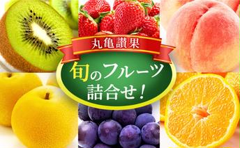 フルーツ 詰め合わせ セット 丸亀讃果 今が旬の厳選果実 旬のフルーツ 食べ比べ いちご みかん デコポン びわ 桃 梨 ぶどう 柿 キウイ 柑橘 柑橘類 果物 デザート おやつ 旬 産地直送 旬の果物 お取り寄せ 取り寄せ 送料無料 冷蔵 冷蔵配送 香川