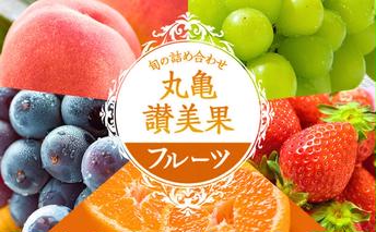 旬のフルーツ詰合せ！丸亀讃美果／ 果実 果物 旬 今が旬 シャインマスカット 桃 みかん いちご ピオーネ ぶどう 詰め合わせ 詰合せ 果物類 季節の果物 ブドウ せとか お楽しみ