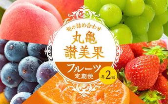 フルーツ定期便 丸亀讃美果 計2回定期便／ 果実 果物 旬 定期配送 シャインマスカット 桃 みかん いちご ピオーネ ぶどう 詰め合わせ 詰合せ 果物類 旬のフルーツ 季節の果物 ブドウ せとか お楽しみ