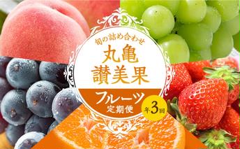 フルーツ定期便 丸亀讃美果 計3回定期便／ 果実 果物 旬 定期配送 シャインマスカット 桃 みかん いちご ピオーネ ぶどう 詰め合わせ 詰合せ 果物類 旬のフルーツ 季節の果物 ブドウ せとか お楽しみ