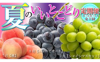 【全3回】フルーツ定期便「丸亀市夏のいいとこどり定期便」/シャインマスカット 桃 ピオーネ 定期配送 頒布会 果実 果物 果物類 ブドウ ニューピオーネ 季節の果物 旬のフルーツ
