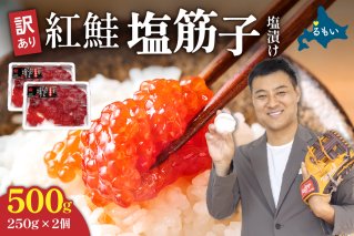 すじこ 訳あり 北海道 紅鮭 塩 筋子 500g (250g×2個入） 加藤水産 ひとくちカット 不揃い 小分け 塩筋子  筋子塩漬け つまみ おつまみ魚介類 魚卵 鮭 いくら 冷凍 おせち R002-005