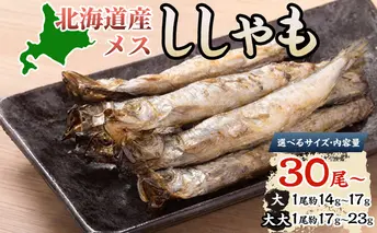 北海道産ししゃもメス大30尾 北海道 稀少 魚シシャモ メス おつまみ 魚貝類 干物 本物 人気 希少 塩 味付け 脂のり 旨み 美味しい 大きい 