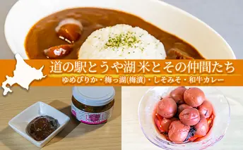 道の駅とうや湖 米とその仲間たち(ゆめぴりか・梅っ湖(梅漬)・しそみそ・和牛カレー) 食品セット お米 レトルトカレー