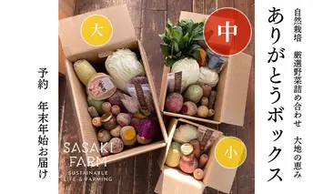 旬の野菜詰め合わせ ~ありがとうBOX2025・中~ 12月1日~1月31日頃お届け 北海道 野菜 やさい 詰め合わせ セット 北海道産 常備菜 加工品 自然栽培 佐々木ファーム 産地直送 洞爺湖町