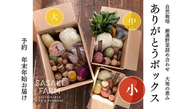 旬の野菜詰め合わせ ~ありがとうBOX2025・小~ 12月1日~1月31日頃お届け 北海道 野菜 やさい 詰め合わせ セット 北海道産 常備菜 加工品 自然栽培 佐々木ファーム 産地直送 洞爺湖町