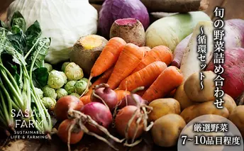 〈自然栽培〉佐々木ファーム 旬の野菜詰め合わせ ~循環セット~ 厳選野菜7-10品目程度 3月よりお届け やさい 直送 北海道 洞爺湖町 野菜の詰め合わせ 北海道産 北海道産野菜
