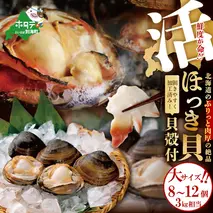 鮮度抜群！「貝殻付 活ホッキ 大サイズ 8～12個 3kg相当 」（上林商店）【KN0000014】