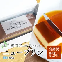【隔月定期便】濃厚プリン　New Pudding（ニュープディング）（500g×1本）×3回【be152-0931-200-3】