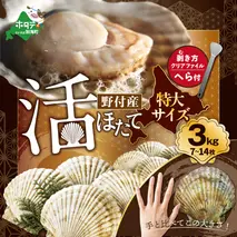 【先行予約】特大活ほたて ３kg相当 7～14枚入り＜朝どり新鮮出荷!＞