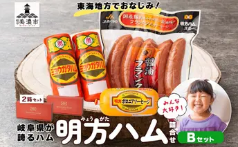 明方 ハム Bセット ボロニア ソーセージ フランクフルト JA ブランド 豚肉 お肉 国産 熟成 塩分 控えめ 豚腸 バーベキュー BBQ 加工品 お取り寄せ 贈答 ギフト 送料無料 めぐみの農業協同組合 岐阜県 美濃市