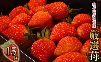イチゴ 厳選された15粒を美濃市からお届け 果物 フルーツ おやつ デザート 甘い 濃い 岐阜県産 産地直送 ストロベリー 食べ物 食品 国産 