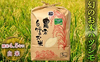 幻のお米ハツシモ 4.5kg 精米 白米 農薬 化学肥料不使用 甘み 型くずれしにくい 冷めてもおいしい お弁当 おにぎり 