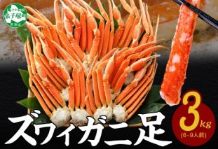 2934.  ボイルズワイガニ足 3kg 約6-9人前 食べ方ガイド・専用ハサミ付 カニ かに 蟹 送料無料 期間限定 数量限定 北海道 弟子屈町