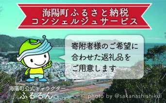 海陽町ふるさと納税コンシェルジュサービス＜寄附金額50万円コース＞