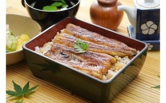 017-7　うな雄　お食事券