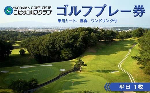 大阪ゴルフクラブ 1名 取り払い 平日 セルフプレー券 2枚