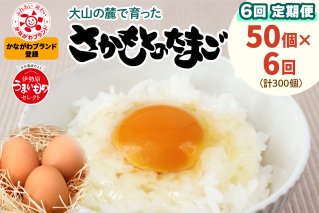 [定期便] たまご 合計300個 (50個×6回)｜坂本養鶏 大山の麓で育ったさかもとのたまご 赤玉卵 玉子 鶏卵 [0094]