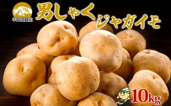 北海道産 じゃがいも 男爵 約10kg Lサイズ ジャガイモ 男爵いも 男爵イモ 馬鈴薯 ポテト 常備野菜 根菜 農作物 産直 国産 JAようてい 送料無料 北海道 倶知安町 北海道のジャガイモ 食品