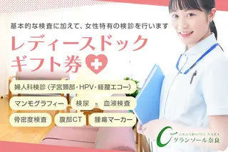 グランソール奈良 レディースドック／ 人間ドック 検診 婦人科検診 検査 結婚記念日 父の日 母の日 敬老の日 勤労感謝の日 ギフト プレゼント 奈良県 宇陀市 ふるさと納税