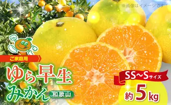ZJ1010n_【2025年先行予約】【ご家庭用 極早生】和歌山 有田ゆら早生みかん 約5kg (SS、Sサイズ)【湯浅町】