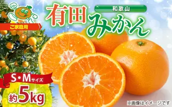 ZJ6078_【2025年先行予約】ご家庭用　和歌山 有田みかん 約5kg (S、Mサイズ)【湯浅町】