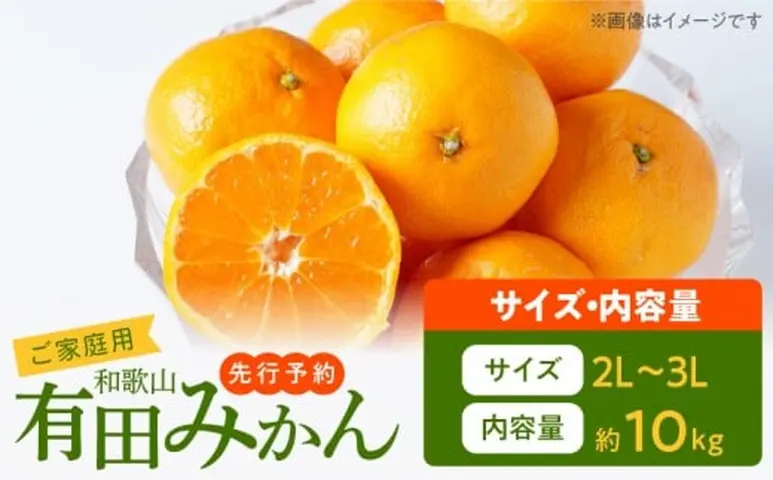 2026年先行予約】ご家庭用 和歌山有田みかん 約10kg (2L、3Lサイズ
