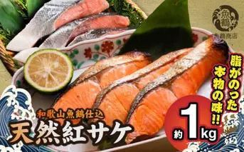 G7317_リピーター続出！ 高評価 魚鶴仕込の天然 紅サケ 紅鮭 鮭 サーモン 切身 切り身 約1kg レビュー高評価 小分け 真空パック 梅酒 真昆布 使用 だし まろやか 天然 鮭 魚 海の幸 海鮮 魚介 食品 食べ物 おかず お弁当 水産加工品 冷凍 グルメ お取り寄せ 和歌山県 湯浅町 送料無料