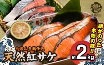 G7318_リピーター続出！ 高評価 魚鶴 仕込 天然紅 鮭 サケ 切身 約2kg サケ切身 紅鮭 和歌山 湯浅町 小分け 真空パック 梅酒 真昆布 使用 だし まろやか 天然 鮭 魚 海の幸 海鮮 魚介 食品 食べ物 おかず お弁当 水産加工品 冷凍 グルメ お取り寄せ 和歌山県 湯浅町 送料無料